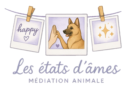 médiation animale pour enfants et ados cherbourg, valognes