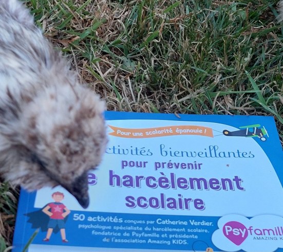 perle poule de médiation animale pour école et collège prévention harcèlement scolaire dans la manche